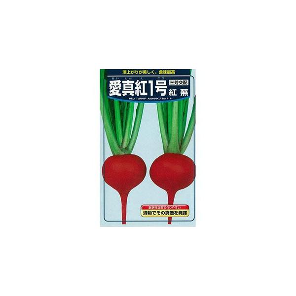 Ju̎ ^gP ܁iQO) ( ؂̎ )