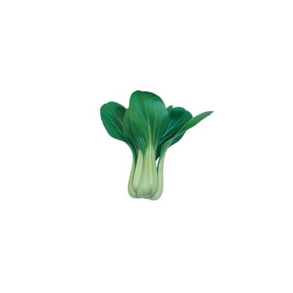 ďܖ (񂰂 `QTC̎) 2dl ( ؂̎ )