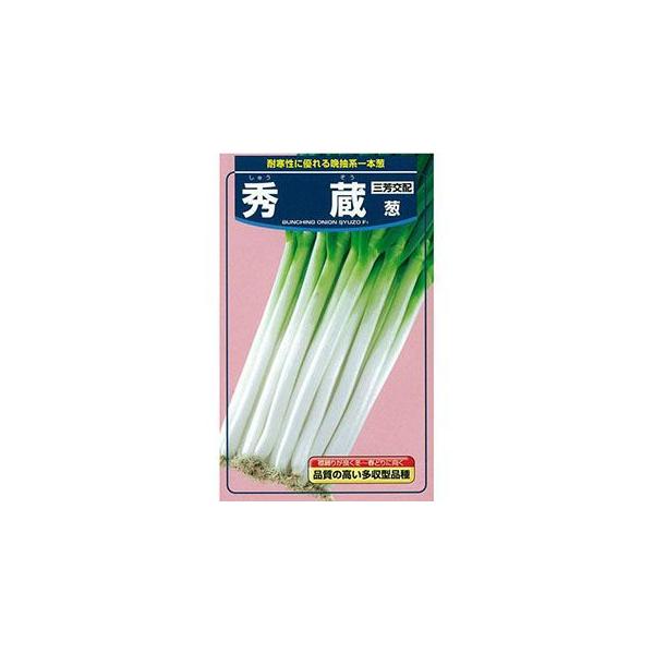 lM̎ lM̎ G R[gQkT痱 ( ؂̎ )