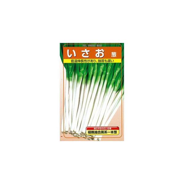 lM̎ lM̎  R[gQkT痱 ( ؂̎ )