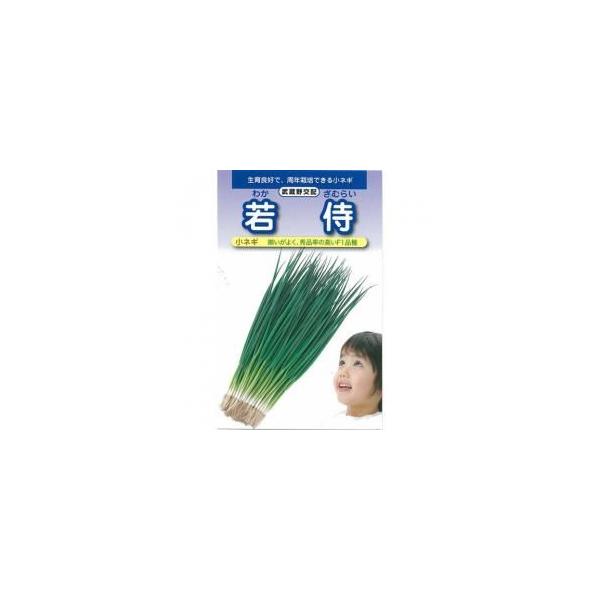 lM̎ lM᎘  20ml ( ؂̎ )