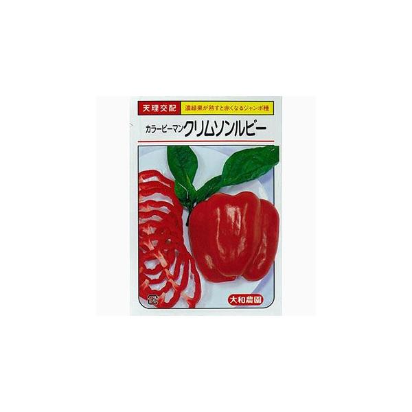 s[}̎ ԃW{s[}N\r[ 20 ( ؂̎ )