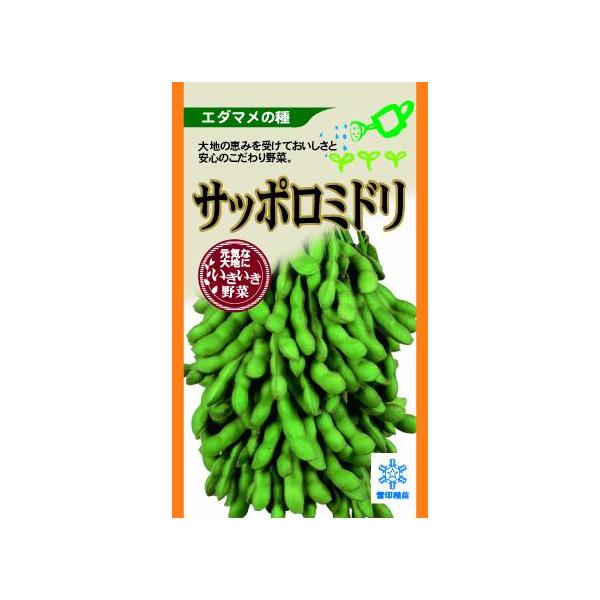 濃緑色の大莢で秀品率が高いので、莢もぎ出荷にも最適です。開花・収穫ともにサッポロミドリ並の極早生小葉で草勢がおとなしくコンパクトにまとまる白毛・極濃緑の大莢でボリュームがある ■容量は季節により変更となる場合がございますが、価格に変更はござ...