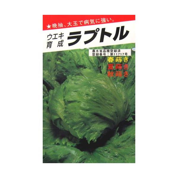 vg (^X̎)  1ml ( ؂̎ )