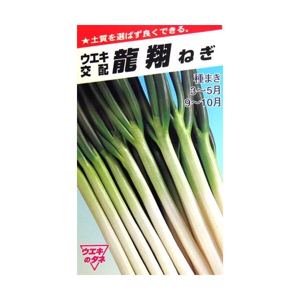 lM̎ Ă˂  10ml ( ؂̎ )