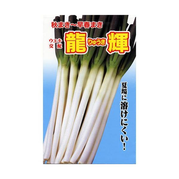 lM̎ P  10ml ( ؂̎ )