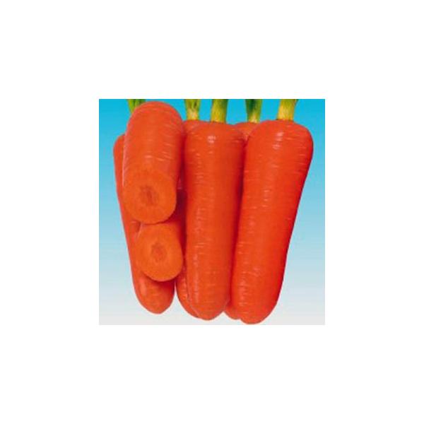 lQ̎ 炢ތܐ  20ml ( ؂̎ )