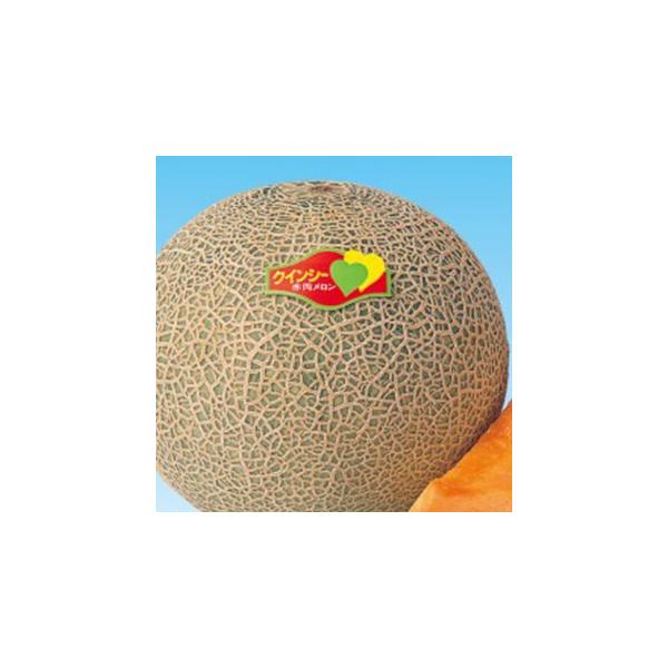 ̎ t̃NCV[ 100 ( ؂̎ )