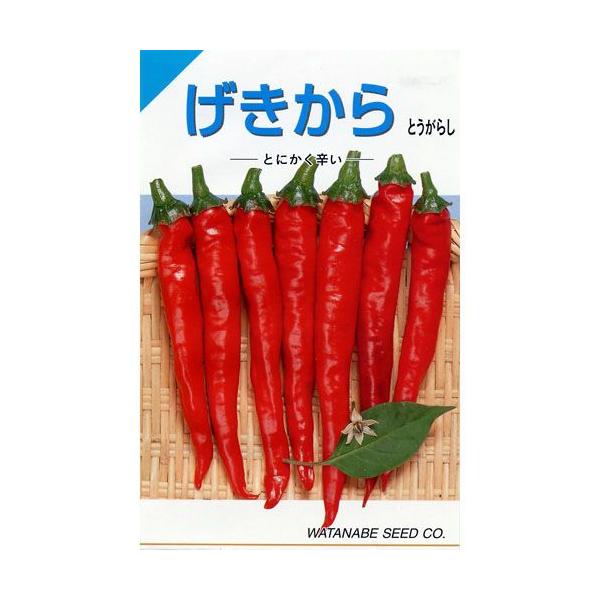 ■容量は季節により変更となる場合がございますが、価格に変更はございません。 メール便で10袋まで同梱できます。
