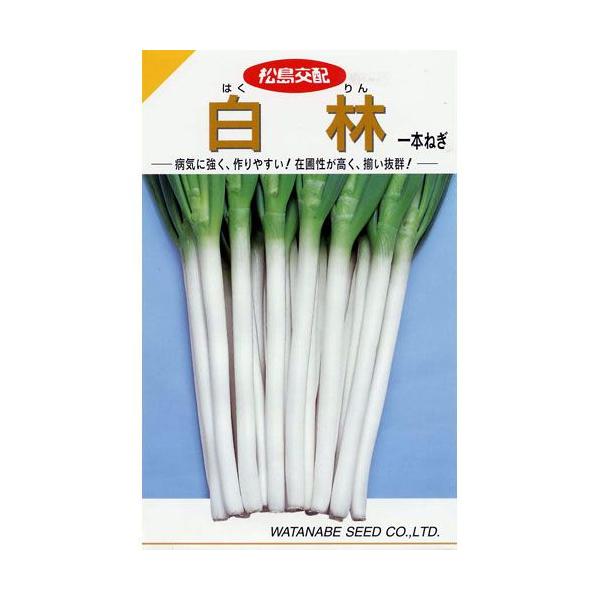 lM̎ ] (܂) {K  20ml ( ؂̎ )