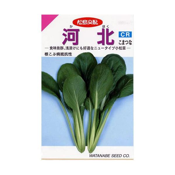 ؂̎ ͖kCR ܁i6D6mlj