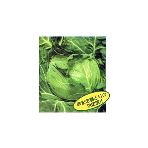 Lxc̎ VeB R[g5痱 (L) ( ؂̎ )