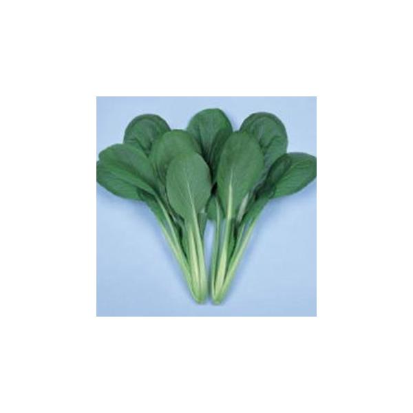 ͖k (؂̎) 1dl ( ؂̎ )