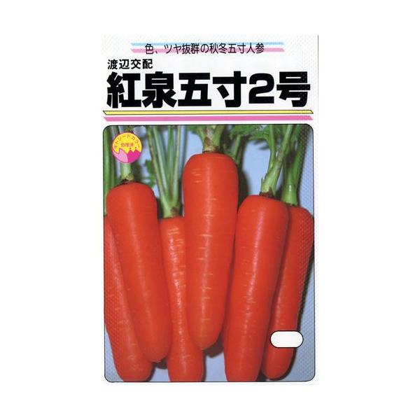 lQ̎ gܐ2  20ml ( ؂̎ )