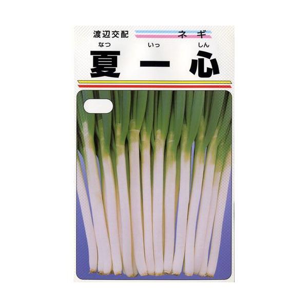 lM̎ ĈS  20ml ( ؂̎ )