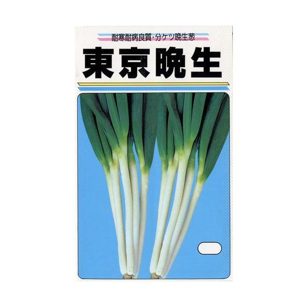 lM̎ Ӑ  20ml ( ؂̎ )