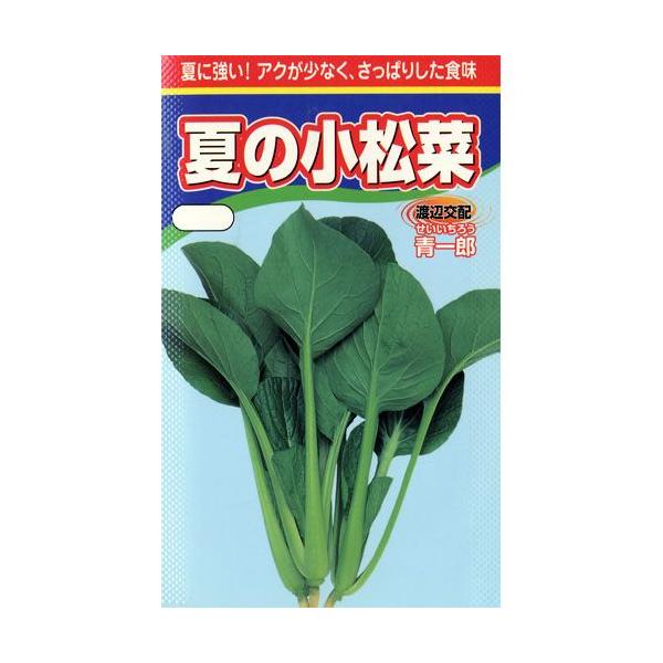 Ă̏ (؂̎)  20ml ( ؂̎ )