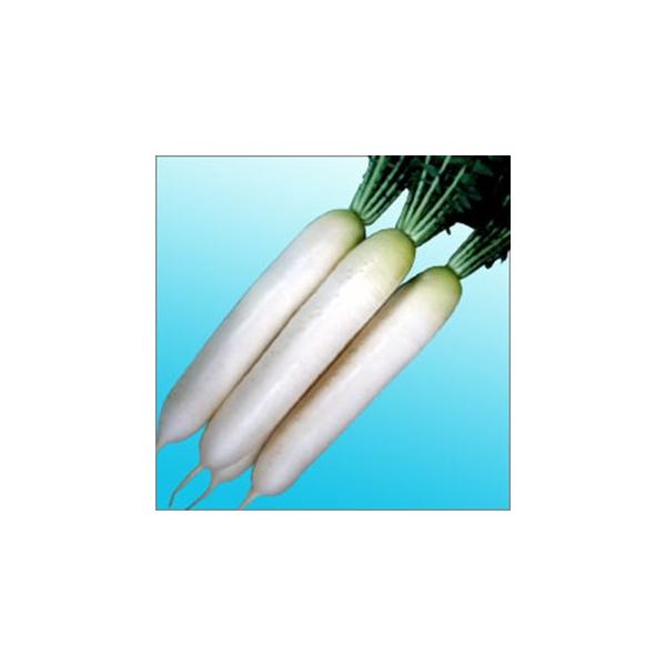 卪̎ Ƃ 2dl ( ؂̎ )