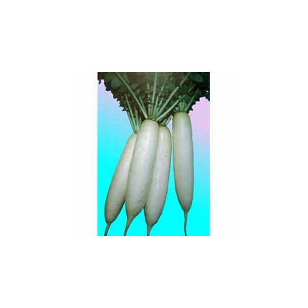 卪̎ x 1dl ( ؂̎ )