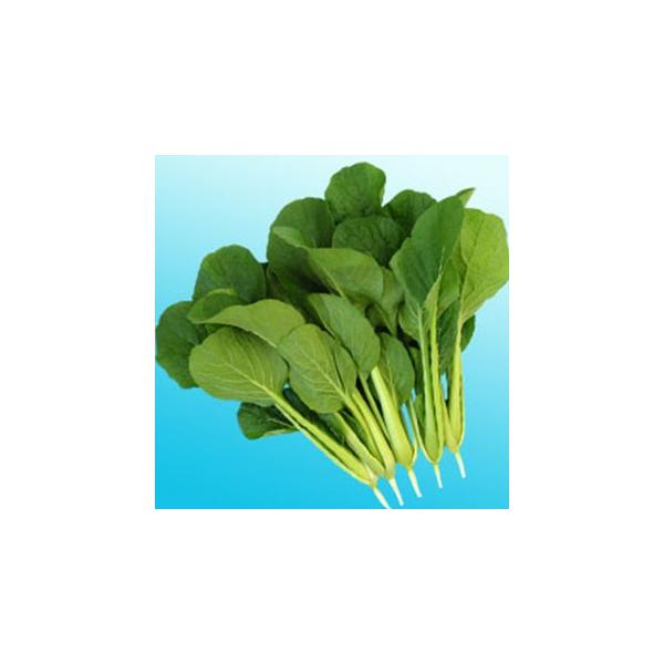 Y (؂̎) 2dl ( ؂̎ )