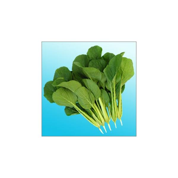 Y (؂̎) 1L ( ؂̎ )