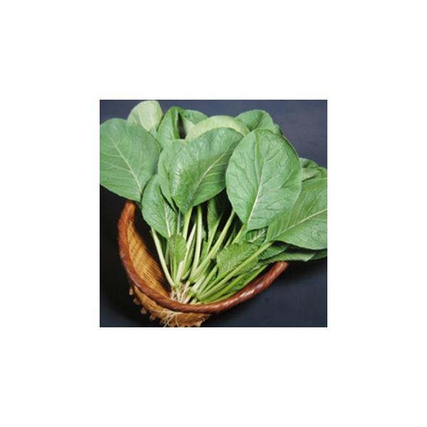  (؂̎) 2dl ( ؂̎ )