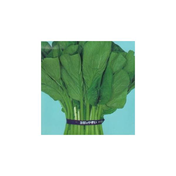 Vt (؂̎)  Q ( ؂̎ )