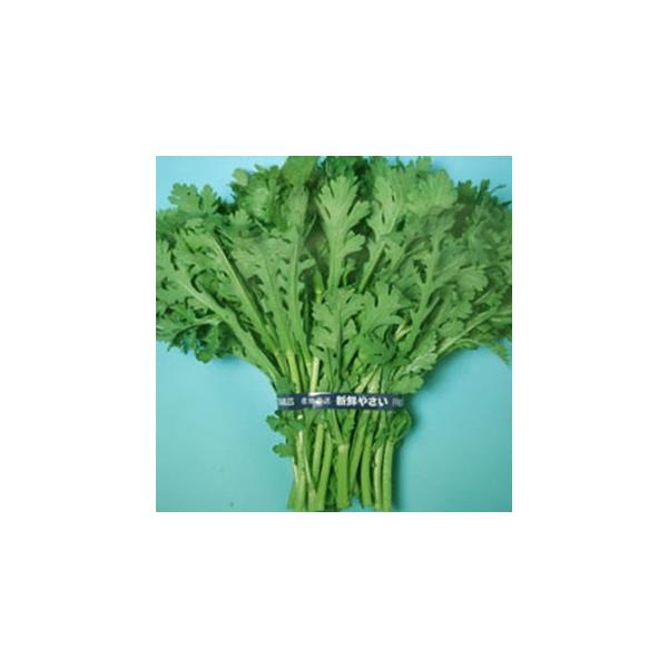 te (te̎) 1L ( ؂̎ )