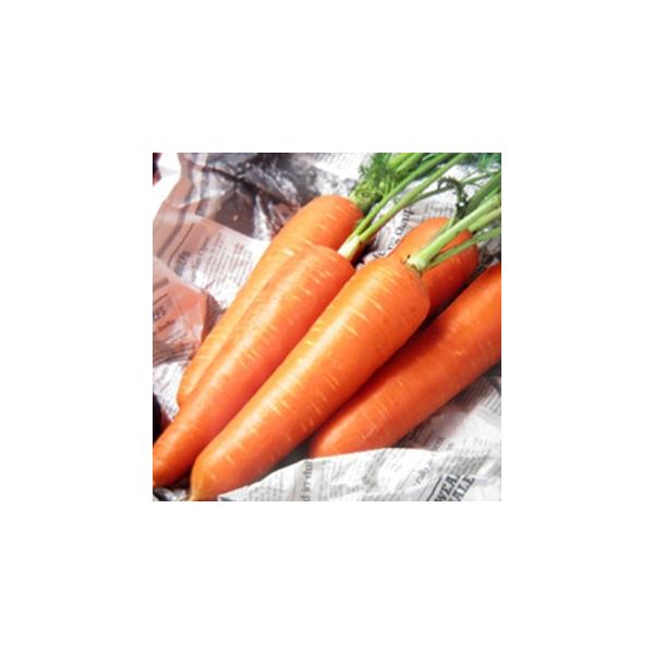 lQ̎ gܐ2 2dl ( ؂̎ )