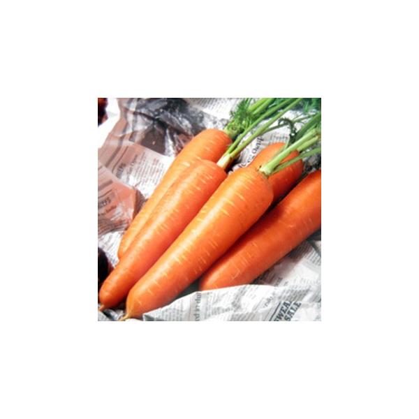 lQ̎ gܐ2 1L ( ؂̎ )