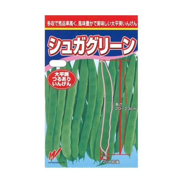 邠CQ̎ VKO[ 1L ( ؂̎ )