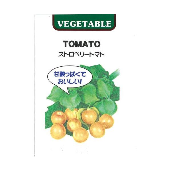 Hpق Xgx[g}g̎  (30) ( ؂̎ )