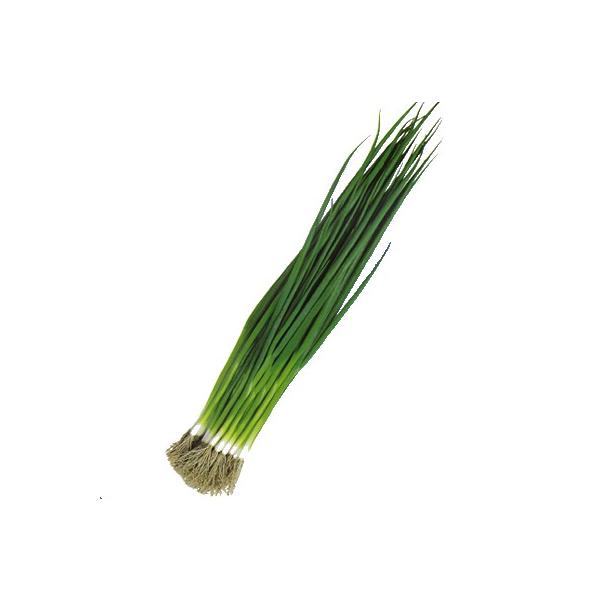 lM̎ ˂ ፁS[h 1L ( ؂̎ )