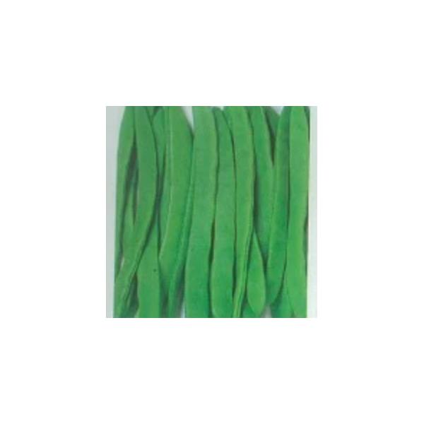 CQ̎ 邠ؓ@rbNW{ 1dl