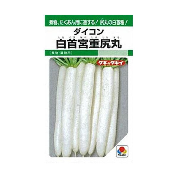 大根の種 白首宮重尻丸 1L 野菜の種 :5176755:菜園くらぶ !店 通販 ダイコン 種 たね F1タクアン大根 1袋(5ml) 大根 野菜たね YTC05