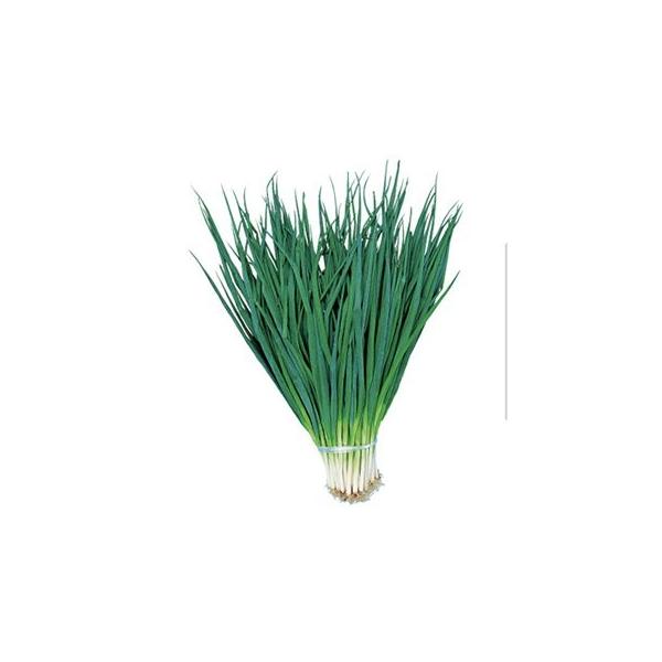 lM̎ lM̎ 󉩌nK 1L ( ؂̎ )