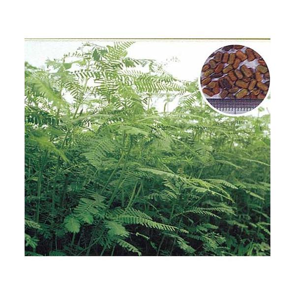 _Ǝ Δ̎q ZXojA c iΔj1kg yÂ yǂɂ߂̎