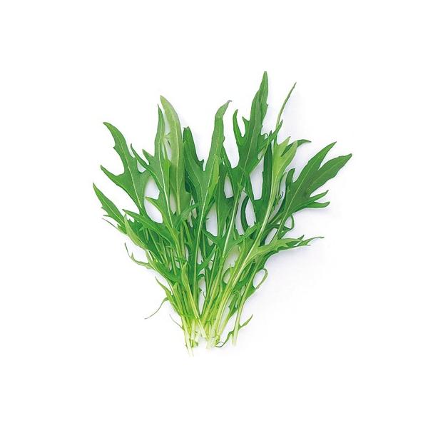 ベビーリーフの種早生水菜小袋約1dl 野菜の種 Buyee 日本代购平台 产品购物网站大全 Buyee一站式代购bot Online