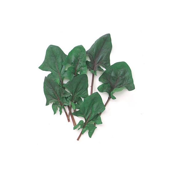 xr[[t̎ bhXsib`  1dl ( ؂̎ )