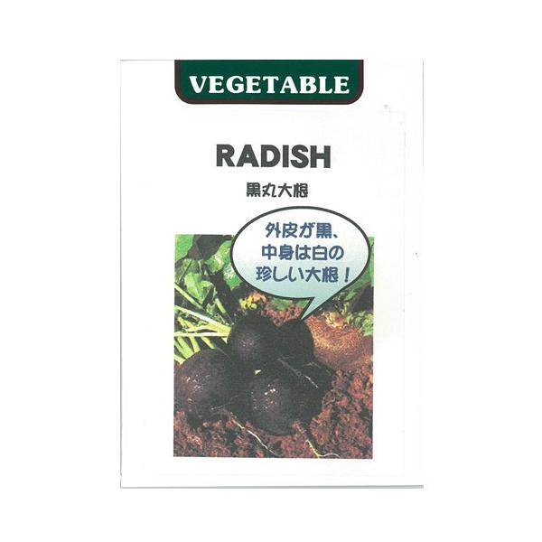 卪̎ ۃ_CR ܁i5mlj ( ؂̎ )