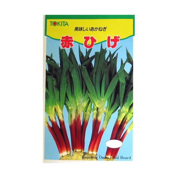 lM̎ ԂЂ  10ml ( ؂̎ )