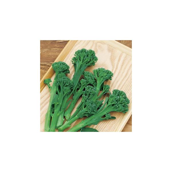 ubR[̎ subR[̎ O[{CX 10ml ( ؂̎ )