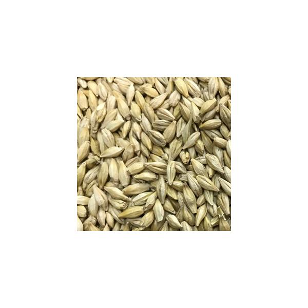 唞̎ 唞t@Co[XmE 1kg io^ԍF11236 o^i햼Ft@Co[XmE COo֎~ii_HPjQƁj