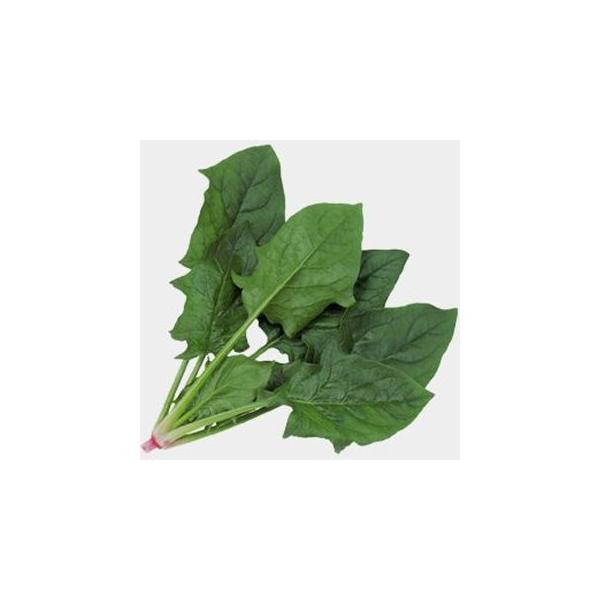 ق񑐂̎ AObVu M3 ( ؂̎ )