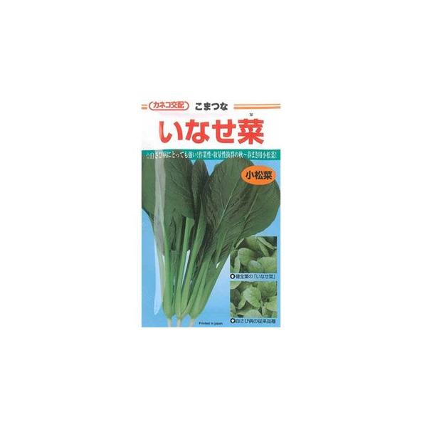  Ȃ؂̎ 20 ؎q tς  ( ؂̎ )