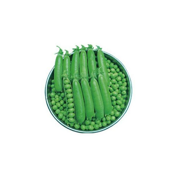 実取エンドウの種 南海緑 1L ( 野菜の種 )