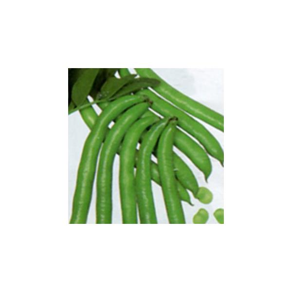 z䰂瓤 (\}̎)  1dl ( ؂̎ )