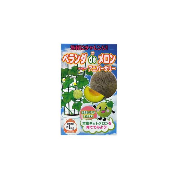 ̎ Ajo[T[ 100 ( ؂̎ )