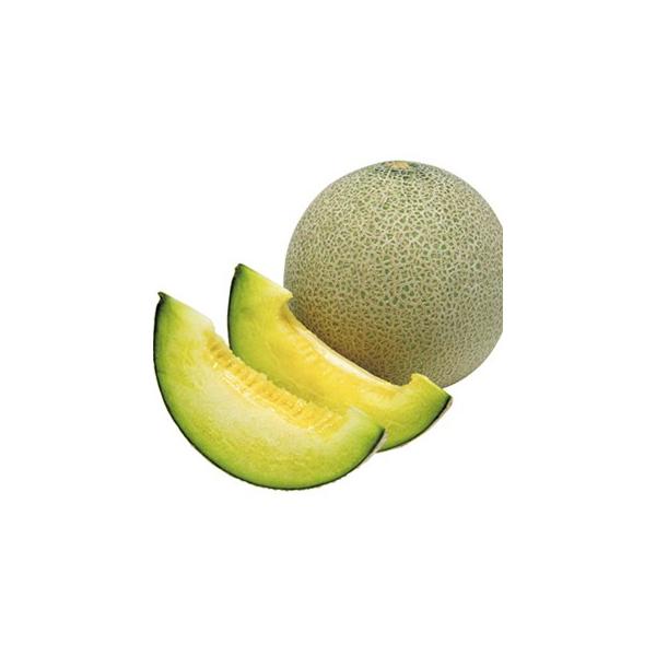 ̎ piTF ܁i8j ( ؂̎ )