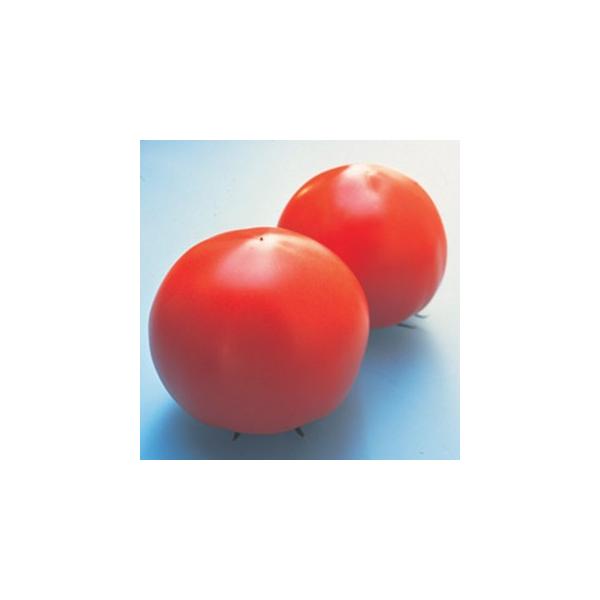 g}g̎ ʉʁij 1000 ( ؂̎ )